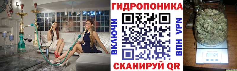 Где купить наркоту Кондопога Конопля  АМФЕТАМИН  Гашиш 