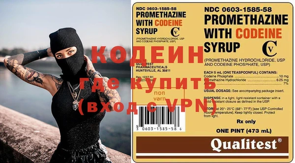 хмурый Алзамай