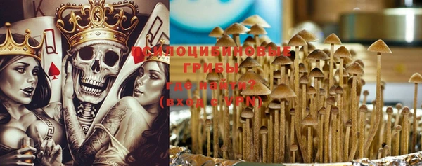 хмурый Алзамай