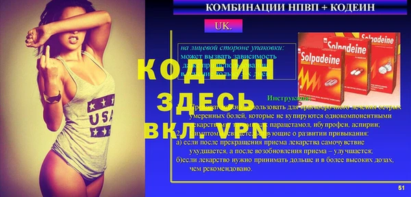 хмурый Алзамай