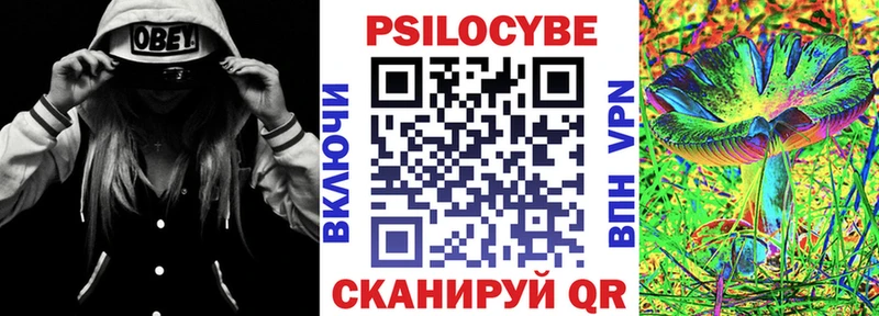Псилоцибиновые грибы прущие грибы  Кондопога 