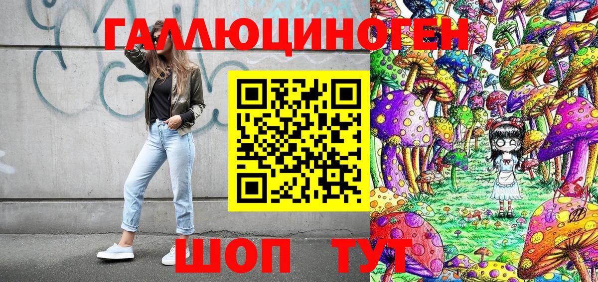 Галлюциногенные грибы GOLDEN TEACHER  Вход с VPN  сколько стоит  Кондопога  Псилоцибиновые грибы прущие грибы 