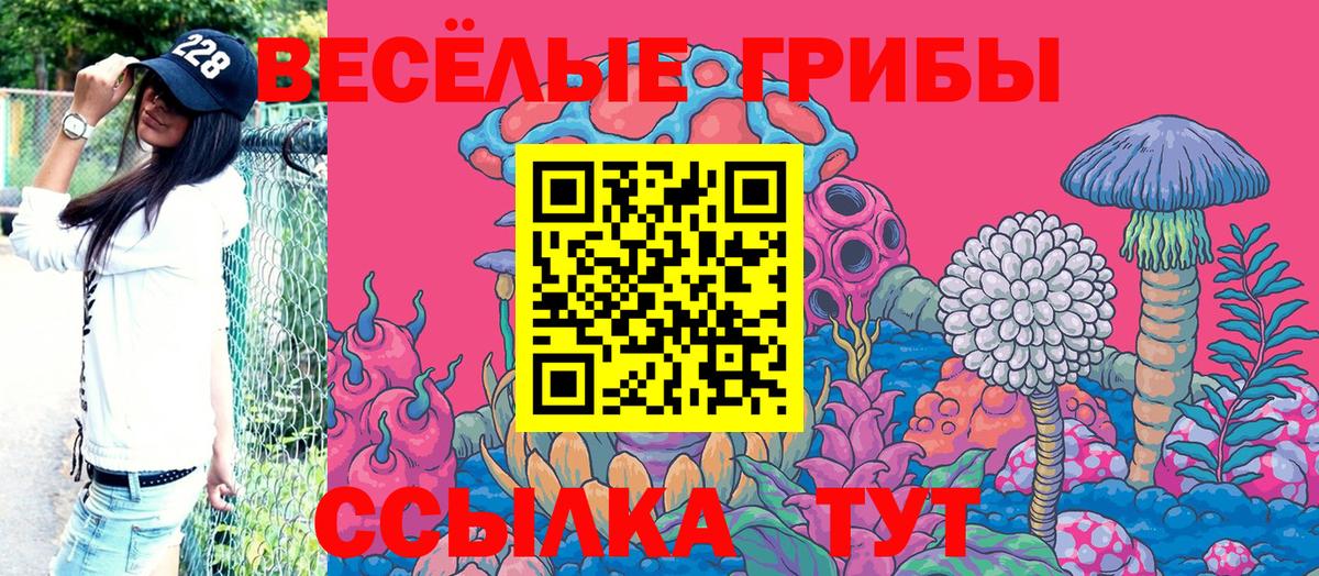 Галлюциногенные грибы Psilocybe Кондопога